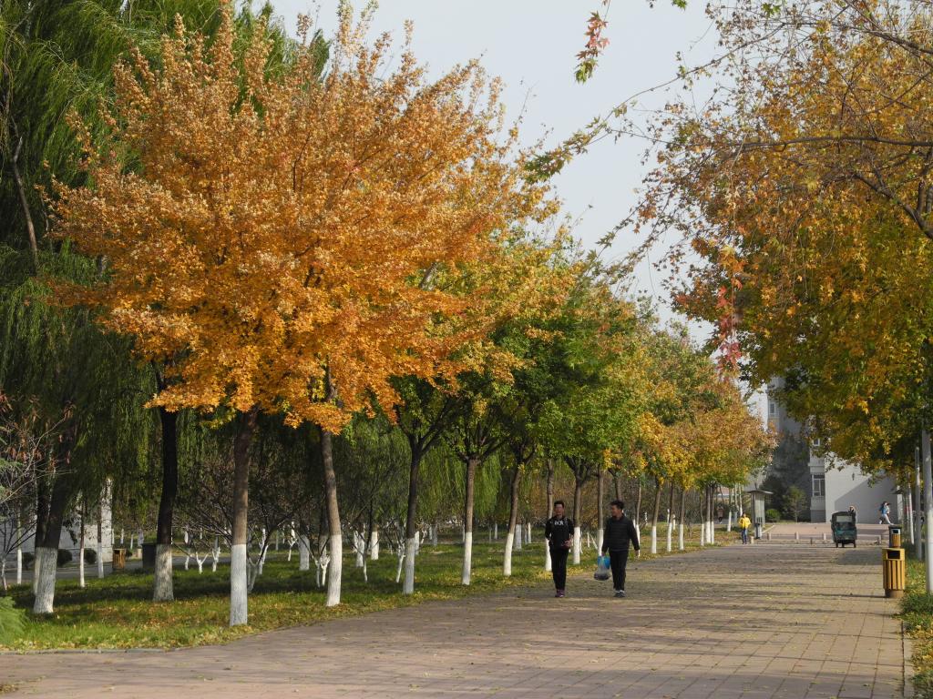 映像圣井-山东财经大学圣井校区管理办公室